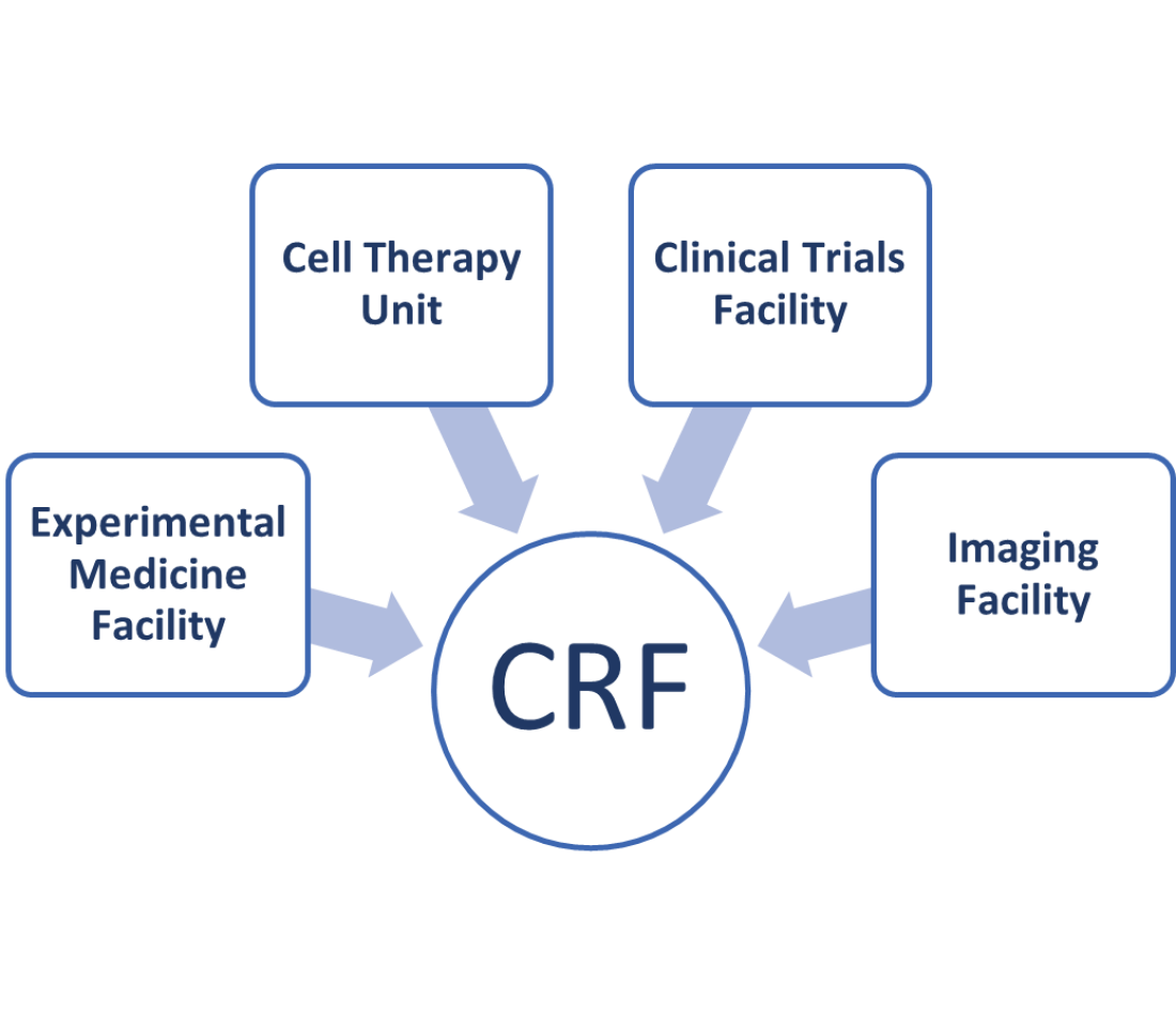 Kings CRF Structure Diagram